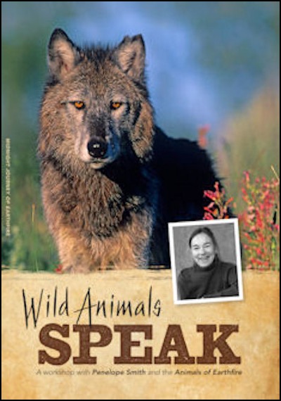 Wild Animals Speak animal communication video by Penelope Smith